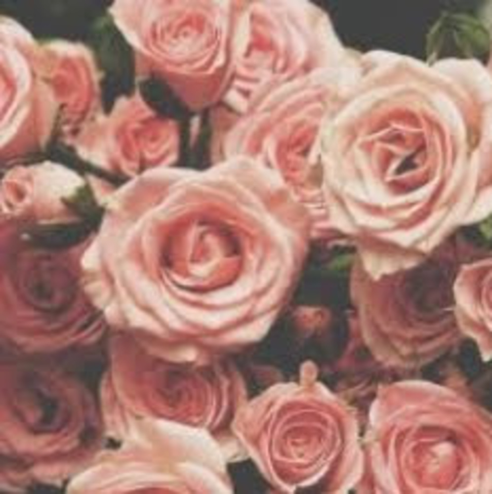 Meet your Posher, Amareya clay